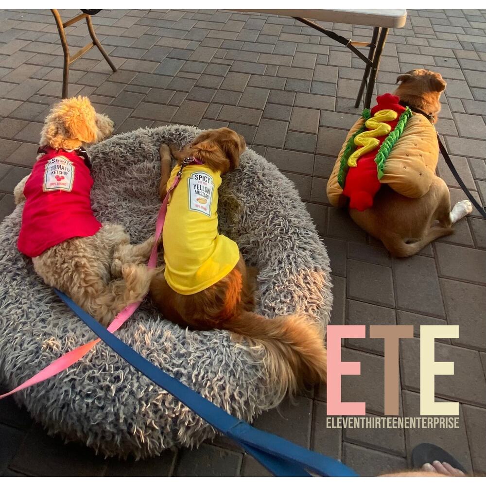 Condiment Halloween Costumes For Small and Big Dogs Cats SM to 6XL - Picture 4 of 8